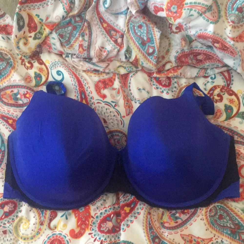 Torrid Royal Blue Bra 46DDD